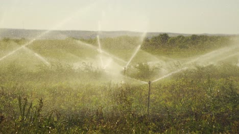 Sprinkler-Of-Irrigation-System-At-Field